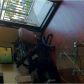 Unit 1314 - 3040 Peachtree Road Nw, Atlanta, GA 30305 ID:2864522