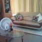 14790 NE 9 CT, Miami, FL 33161 ID:21048