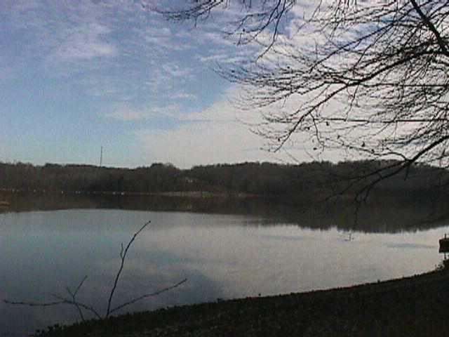 LOT 92 LISANBY Rd, Eddyville, KY 42038