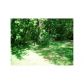 428 Ashburton Avenue, Atlanta, GA 30317 ID:5094549