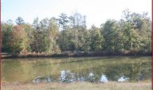 1187 Austin Bridge Drive Douglasville, GA 30134