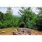 237 Point Of View, Blue Ridge, GA 30513 ID:5541347