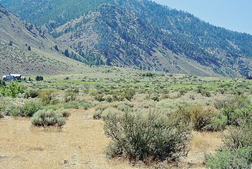 420 Mountain Meadow Drive, Genoa, NV 89411