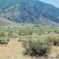 420 Mountain Meadow Drive, Genoa, NV 89411 ID:1031100