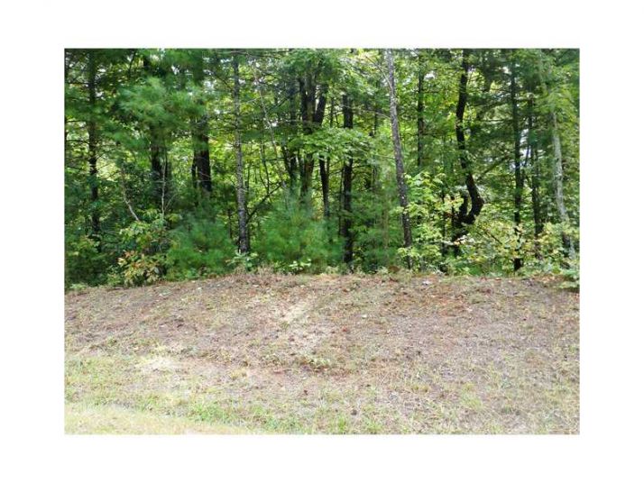 0 Lot 9 Robert Drive, Ellijay, GA 30540
