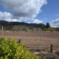 939 Eastmont Pl, Escondido, CA 92026 ID:2015753