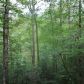 2 Abbott Mill Road, Ellijay, GA 30540 ID:2451030