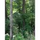 2 Abbott Mill Road, Ellijay, GA 30540 ID:2451037