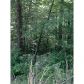 2 Abbott Mill Road, Ellijay, GA 30540 ID:2451038