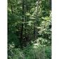 2 Abbott Mill Road, Ellijay, GA 30540 ID:2451039