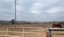 00 COUNTY ROAD 222 Crane Hill, AL 35053