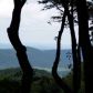 51 Burnt Mountain Road, Ellijay, GA 30536 ID:3041366