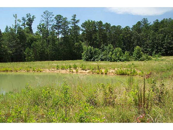 0 Black Road, White, GA 30184