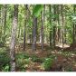 0 Black Road, White, GA 30184 ID:4529562