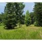 0 Black Road, White, GA 30184 ID:4529563
