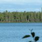 L2 Puppy Dog Lake, Nikiski, AK 99635 ID:1173010