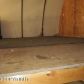 3550 N Diana Avenue, Palmer, AK 99645 ID:1513750