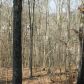 309 Anderwood Ridge, Marietta, GA 30064 ID:4523102