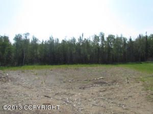 10290 E Vince Circle, Palmer, AK 99645