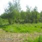 10290 E Vince Circle, Palmer, AK 99645 ID:1514004