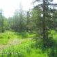 10290 E Vince Circle, Palmer, AK 99645 ID:1514005