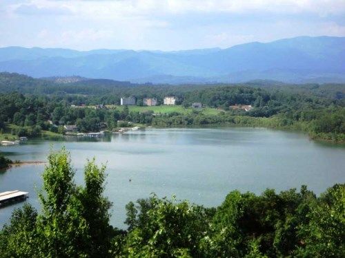 1091 Forest View Drive, Hiawassee, GA 30546