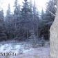 16406 E Dilley Avenue, Palmer, AK 99645 ID:1513947