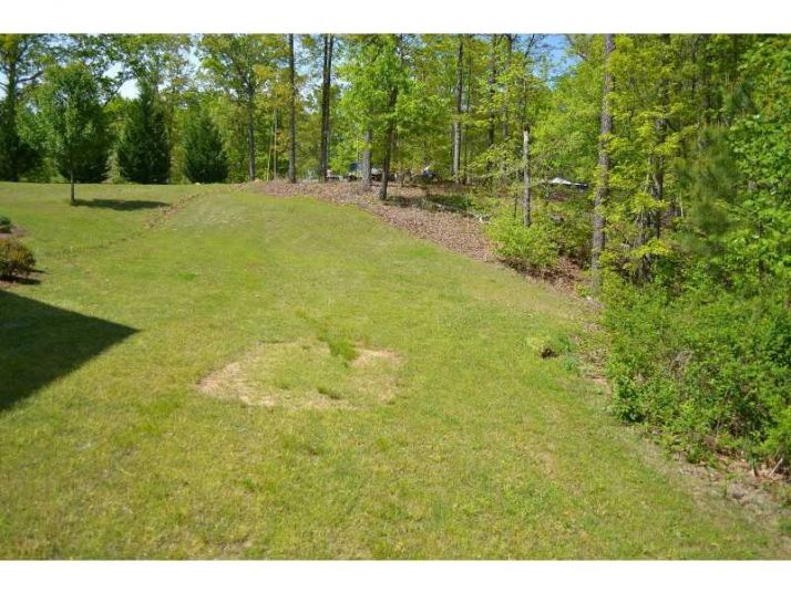 455 Campbell Trail, White, GA 30184