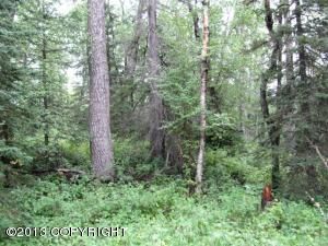 9405 E Douglas Street, Palmer, AK 99645