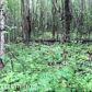 9405 E Douglas Street, Palmer, AK 99645 ID:1513964