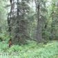 9405 E Douglas Street, Palmer, AK 99645 ID:1513965