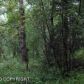 9405 E Douglas Street, Palmer, AK 99645 ID:1513966