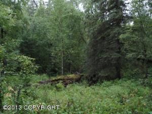 9355 E Douglas Street, Palmer, AK 99645