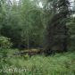 9355 E Douglas Street, Palmer, AK 99645 ID:1513914