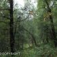 9355 E Douglas Street, Palmer, AK 99645 ID:1513917
