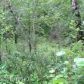 9355 E Douglas Street, Palmer, AK 99645 ID:1513918