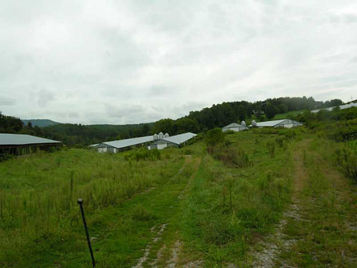 7380 Big Creek Road, Ellijay, GA 30536