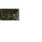 0 John Rivers Road, Fairburn, GA 30213 ID:2451399