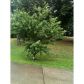 3694 Robinson Road, Marietta, GA 30068 ID:3005123