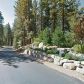 Pine, Stateline, NV 89449 ID:1029057
