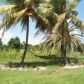 1303 Nw 11th St, Boynton Beach, FL 33426 ID:901629