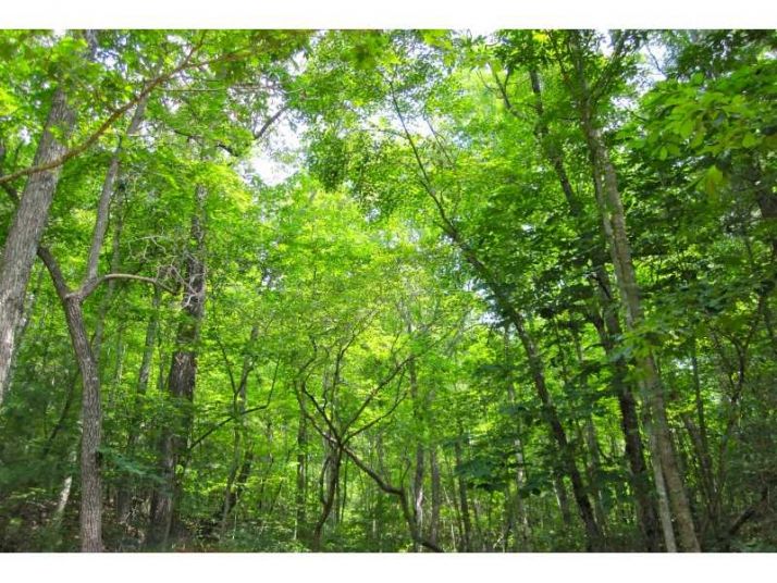 0 Will Nichols Lane, Tiger, GA 30576