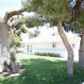 42656 12th St, Lancaster, CA 93534 ID:1140734