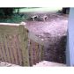 322 Walker Drive, Monroe, GA 30655 ID:1571485