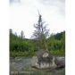 L83 Cache Creek Recreational, Trapper Creek, AK 99683 ID:1383694