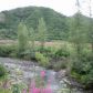 L83 Cache Creek Recreational, Trapper Creek, AK 99683 ID:1383698