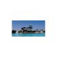 1666 Grassy Hill Court, Grayson, GA 30017 ID:5720396