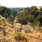 8146 Roper Circle, Williams, AZ 86046 ID:1134379