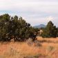 8146 Roper Circle, Williams, AZ 86046 ID:1134380