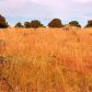 8146 Roper Circle, Williams, AZ 86046 ID:1134383